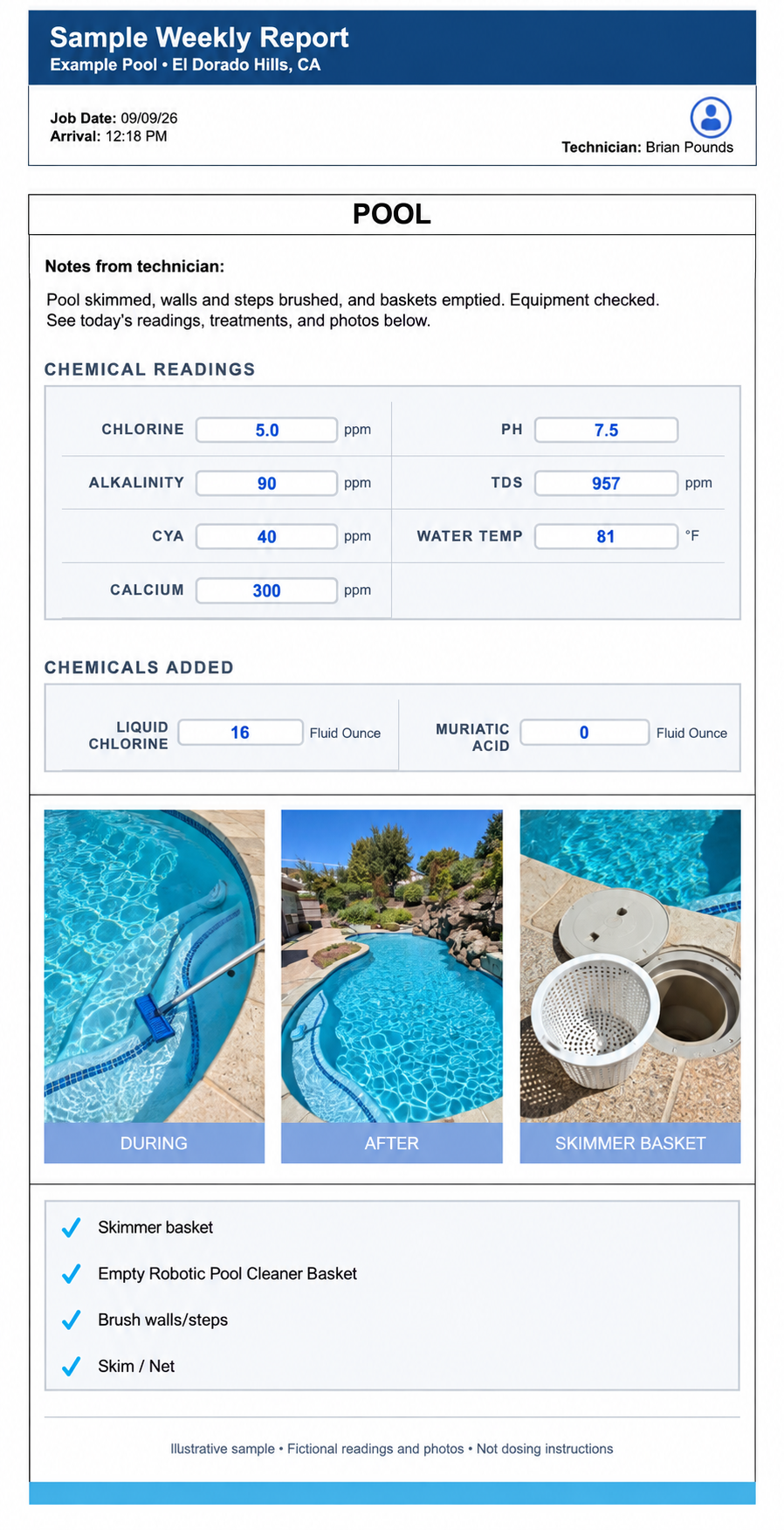 our weekly pool cleaning report